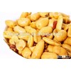 crispy chilli flavor coated spicy peanuts