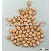 PEANUTS / GROUNDNUT KERNEL