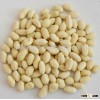 Chinese Blanched Peanut Kernel ---Peanut factory /EU Standard /Haccp Approved