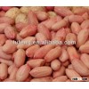 Best Price New Crop Raw Peanut