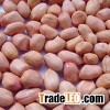 2012 new crop raw groundnut/peanut kernel for sale