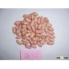 Chinese Peanut Kernel with whole price from factory
