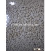 best selling hot selling 2015 new crop blanched peanut blanched peanuts 25/29 29/33 35/39