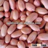chinese red skin good quality best shandong peanuts