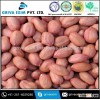 JAVA PINK PEANUT EXPORT FROM INDIA 50/60 JAVA PEANUT
