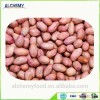 wholesale peanuts raw peanut red skin peanut
