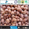 INDIAN GUJARAT ORIGIN PEANUTS