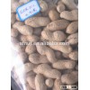 Chinese peanut raw organic peanuts ground nut in shell roasted peanut in shell