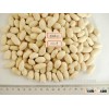 25/29 blanched peanut kernels