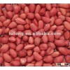 chinese new crop red skin peanuts