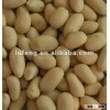 chinese new crop best price roasted peanuts
