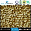 Peanut Price from India In 50 Kg Vacumme Bag Packing At Wholesale Price