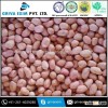PEANUTS NO 1 QUALITY For 70/80 JAVA PEANUT