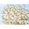 peanut importer in singapore