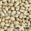 We are supply peanuts , blanched peanut kernels in round shape with good quality