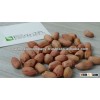 Nut & Oil Seeds Supplier Department