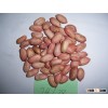 Cheap Price of Peanuts