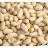 chinese blanched peanut seeds