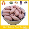 chinese best selling products new wholesale peanuts groundnuts for sale