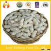 best selling products wholesale peanuts nuts kernels price