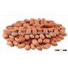 Best Quality Peanuts