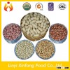 chinese best selling products new blanched peanuts raw peanuts prices