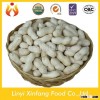 high demand exporting products roasting peanuts roasted salted peanuts price