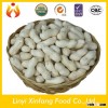 wholesale peanuts raw peanuts in shell bulk peanuts for sale
