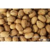 Raw Pecan Nuts in Shell and Peeled For Sale..