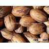Pecan Nuts for whole sale 2015