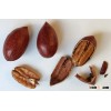 Good Quality Pecan nuts