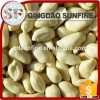 Peeled raw blanched peanuts prices