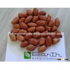 CHOCOLATE PEANUT