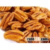 Pecan Nuts,Apricot Kernels,Dried Fig,Sultana Raisins