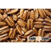 Best Quality Pecan Nuts
