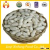 best selling products roast peanut in shell price