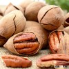 Preserved natural organic raw pecans , exporting, direct factory