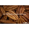 Pecan nuts in shell