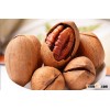 Pecan nuts Kernal, georgia pecans for sale