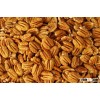 Raw Pecan Nuts for sale