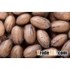 Pecan Nuts In Shell