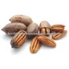 pecan nut cheap price for sale in turkey