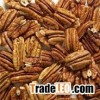 Pecan Nuts and Shelled Pecan Nuts for sale.