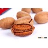 Delicious Pecans for wholesale, good for your health