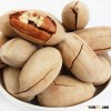 Pecan nuts for sale/ Pecan nut in shell / Pecan nut prices