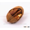High quality Pecans, good price with ISO,HACCP