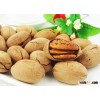 Preserved pure and natural healthy raw pecans with high quality, whole sale, good price