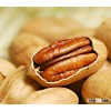 Preserved pure sun dried raw pecans with high quality, whole sale, good price