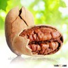 Delicious Pecans for sale, hot sell, good price