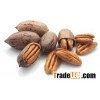 pecan nut in shell for global sales